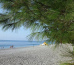 Pine beach Гостевой дом 1
